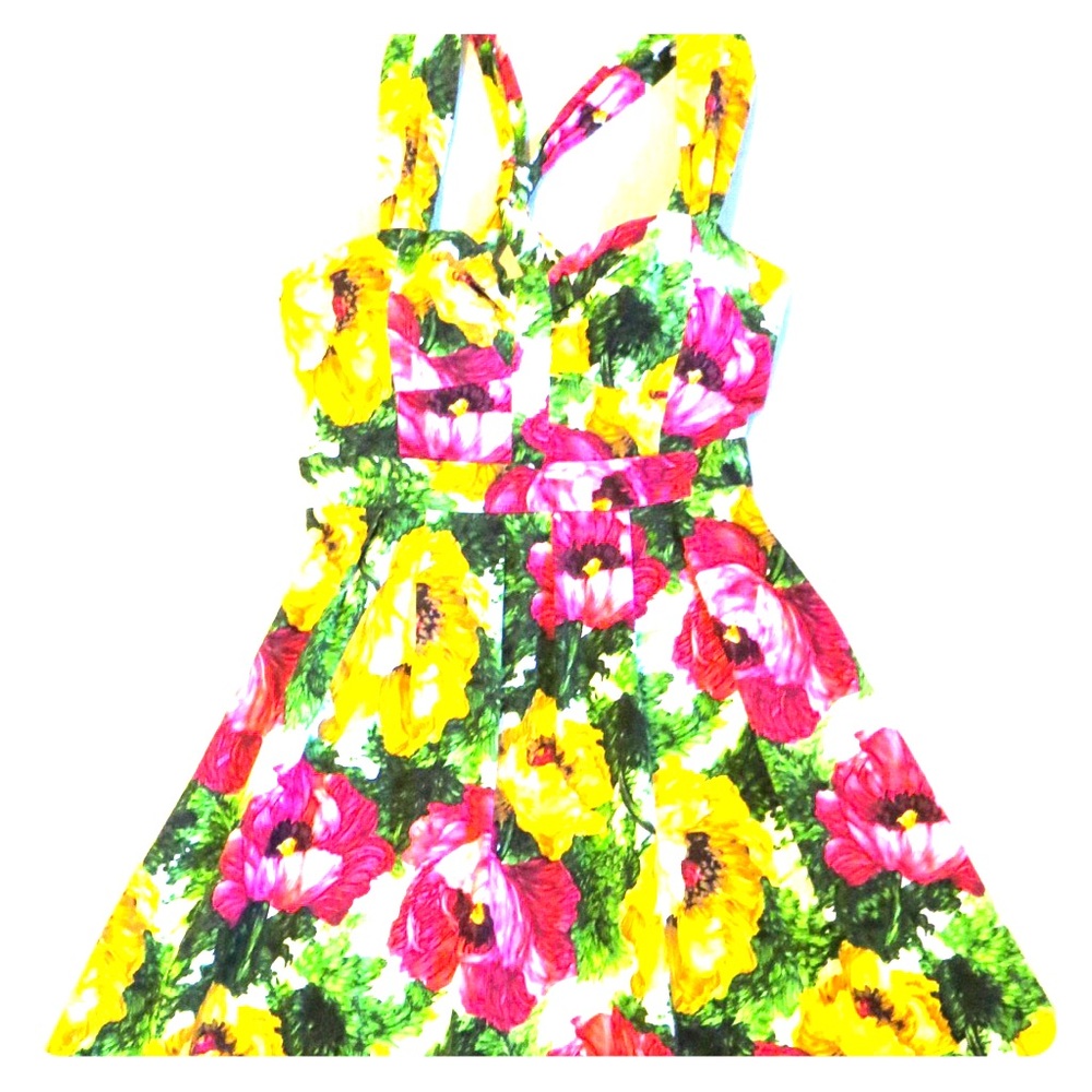 Floral Fit and Flare Dress 🌼🌸🌿